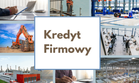 kredyt firmowy